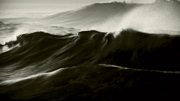 A giant from the deep