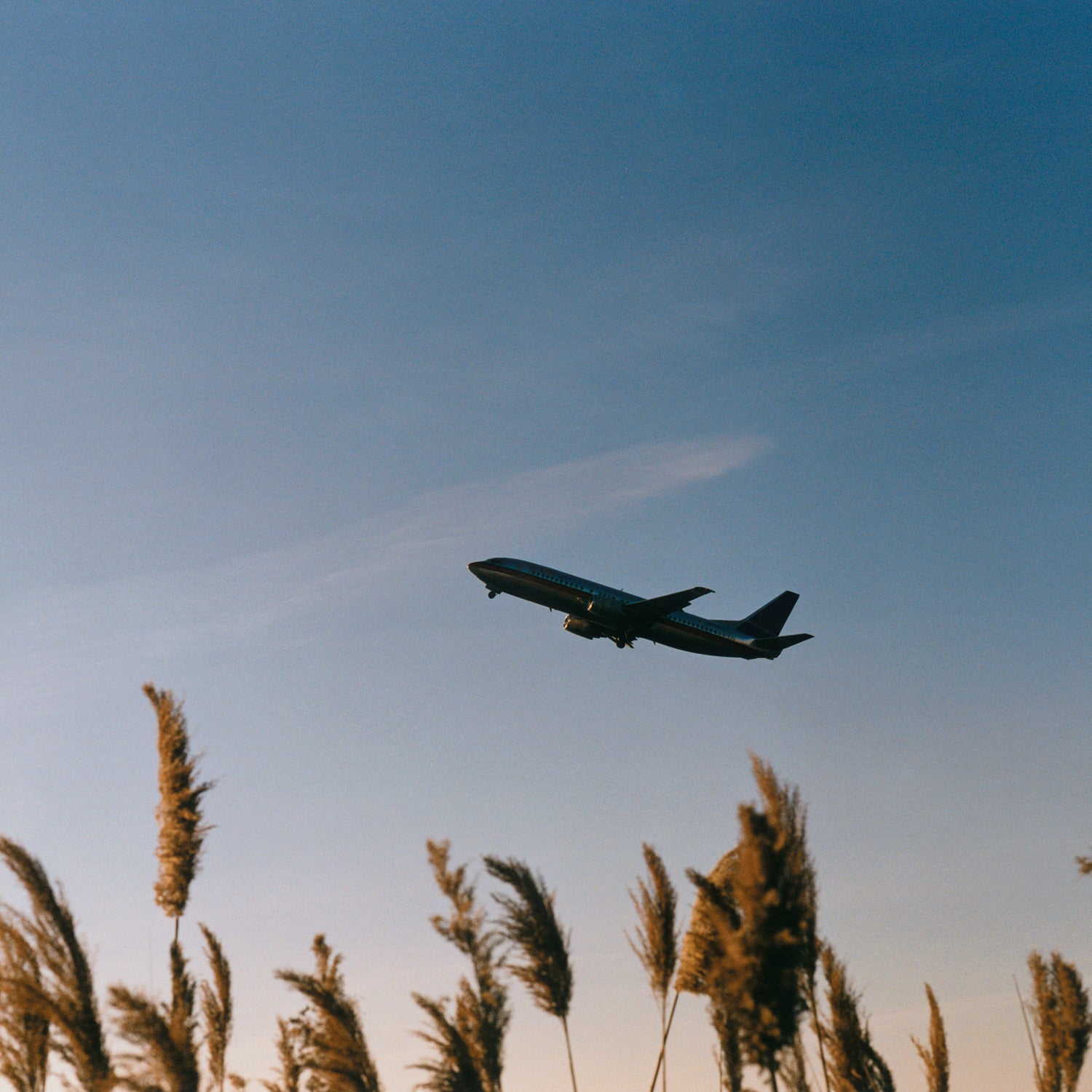 airplane taking off