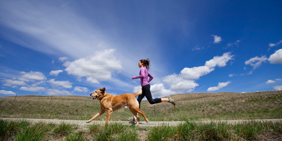 The 20 Best Dog Breeds for Runners