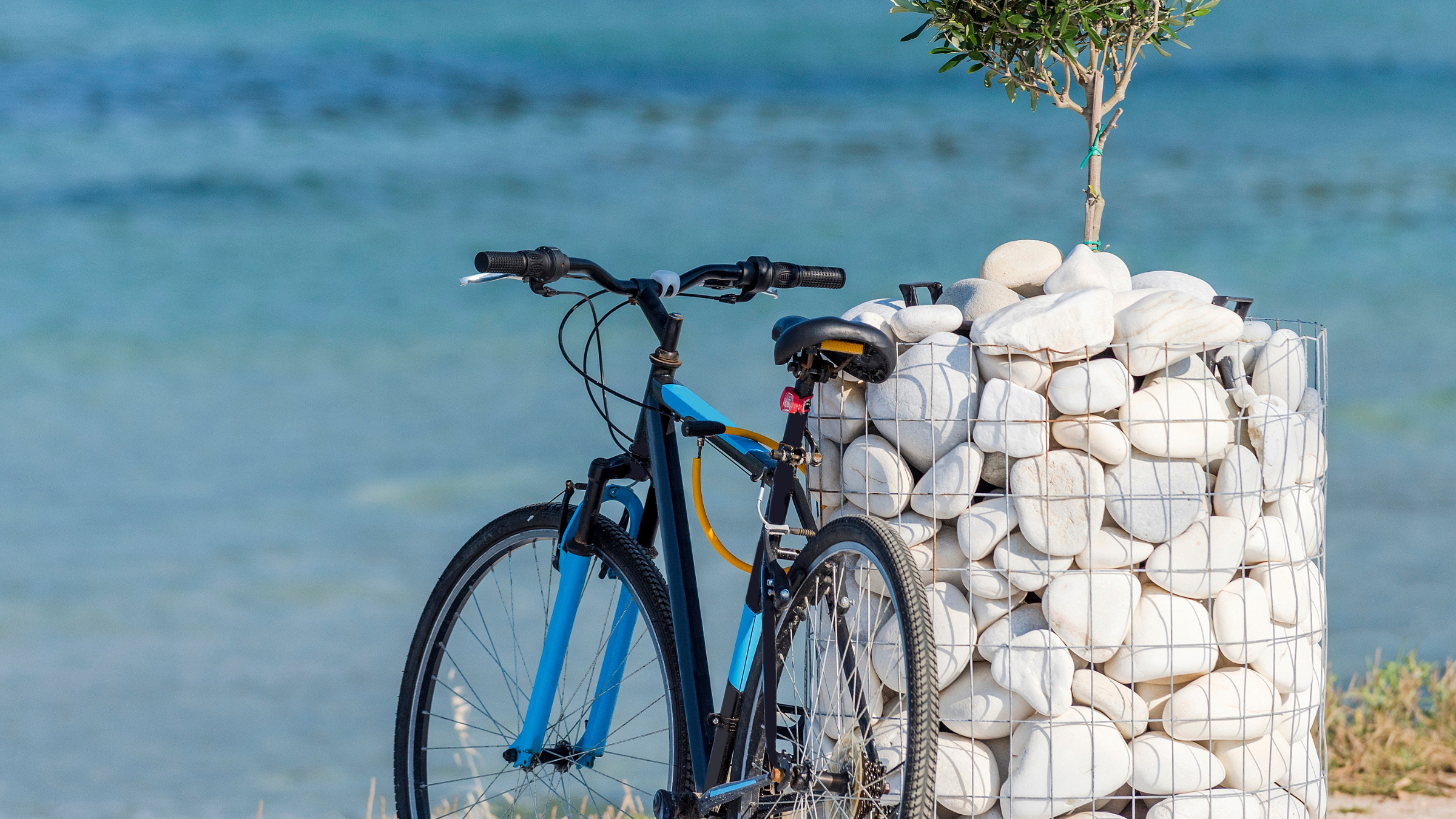 Bicycle parked leaning up against a planter at seaside in Thasos, one of the outdoor adventures in Greece