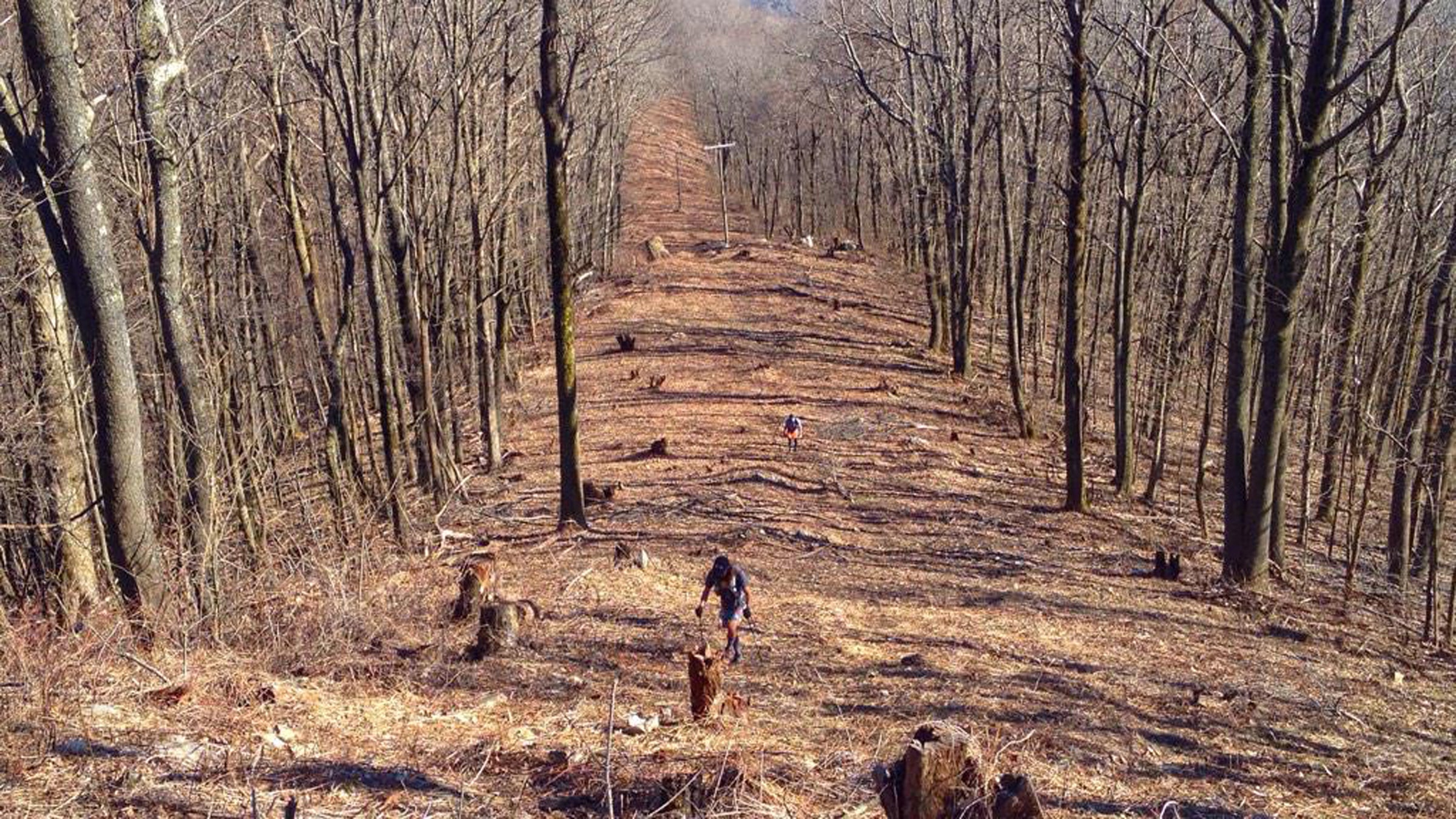 Participant Jamil Coury tweeted this photo of the race course on Tuesday, saying, "The Barkley wins but I'll be back."