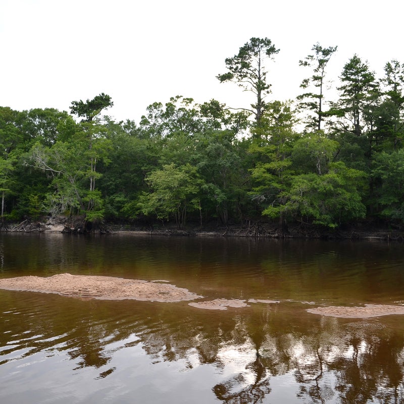 Threat:  Excessive water withdrawals
At risk:  Water supply, water quality, fish and wildlife habitat, recreation

The Edisto River is one of South Carolina’s most popular rivers for paddling, fishing, and outdoor fun. It’s also the state’s most heavily used river for irrigation, and excessive agricultural water withdrawals are threatening water quality and the water supplies of other users. While the state’s permitting process requires industrial and municipal water users to meet requirements to safeguard river health and clean water, large agribusinesses get a pass. The South Carolina House of Representatives has an opportunity to  pass a law, H.3564, this year to end this exemption so that the Edisto—and all of the state’s rivers—can continue to provide sustainable water supplies while supporting river health and recreation.