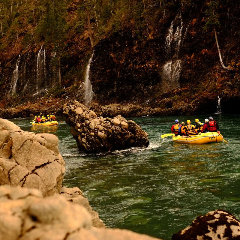 Threat: Nickel mines
At risk:  Clean water, Wild and Scenic Rivers
The Wild and Scenic Illinois (OR), Rogue (OR), and Smith River (OR and CA) watersheds are known for their pristine waters, healthy salmon runs, globally significant plant biodiversity, and outstanding recreation. But proposed nickel mining in the rivers’ headwaters threatens these unique values.