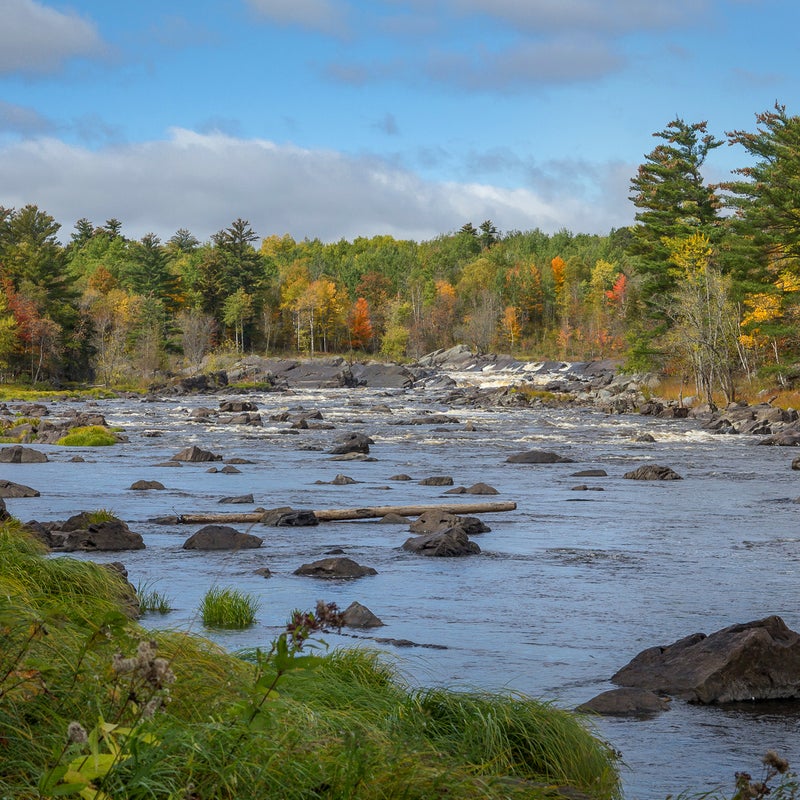 Threat:  Copper-nickel sulfide mine
At risk:  Clean water and wildlife habitat

Minnesota’s Arrowhead region is known for its pure and abundant waters, deep forests, expansive wetlands, and recreational opportunities. However, a proposed copper-nickel sulfide mine at the headwaters of the St. Louis River, the region’s main artery, threatens drinking water, wildlife, and treaty-protected hunting, fishing, and gathering rights of the Ojibwe people and all of region’s citizens.