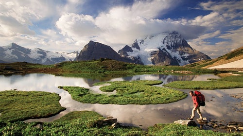 Man Backpacking in Mount Robson Provincial Park