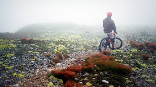 Ozone levels are lower in the morning, so exercise then if you have allergies or are otherwise particularly sensitive to air pollution.