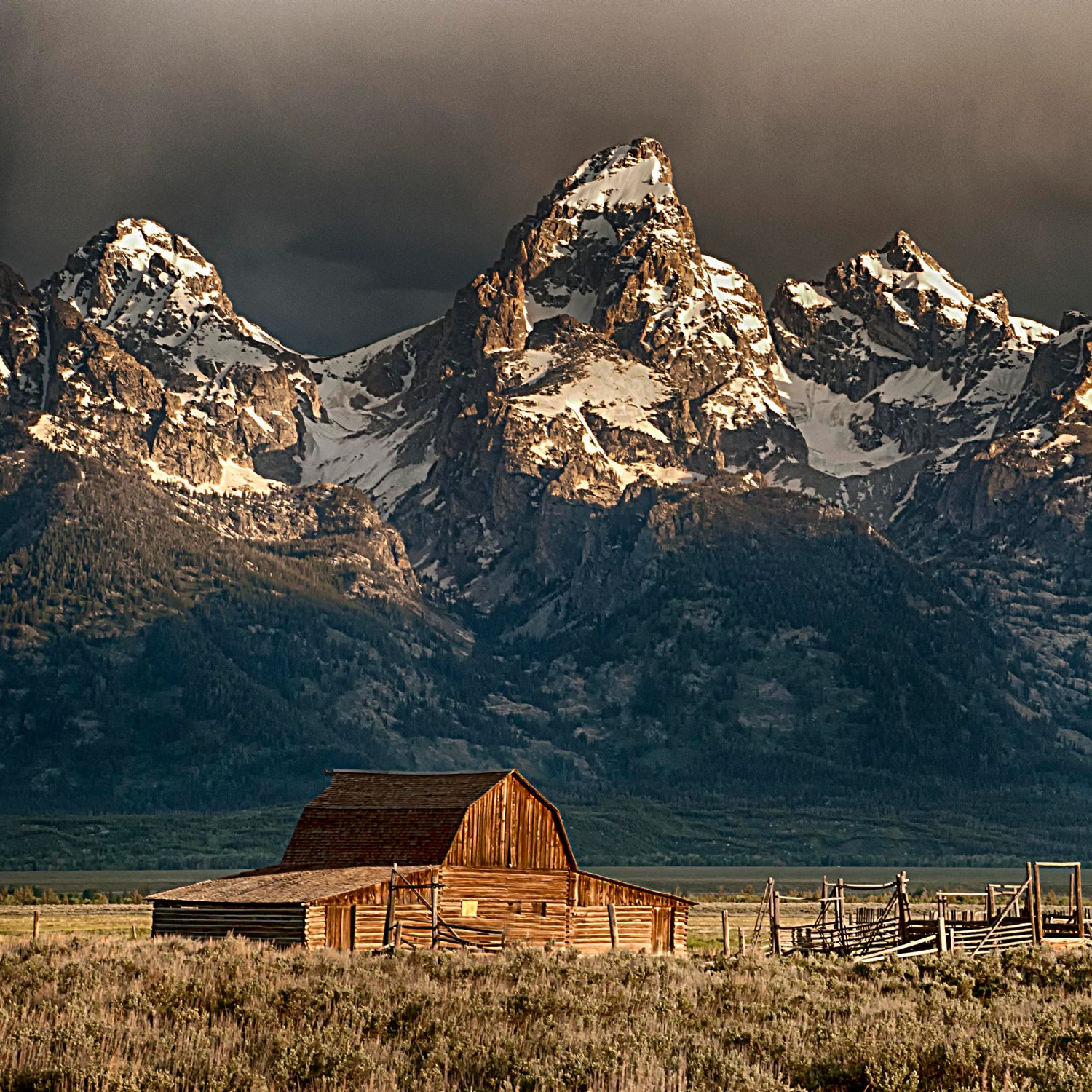 Cramming a National Park visit into just one day can involve a stressful amount of guess-based planning and/or a dose of luck-infused spontaneity. But you can take charge with this list of carefully curated day plans. Read more