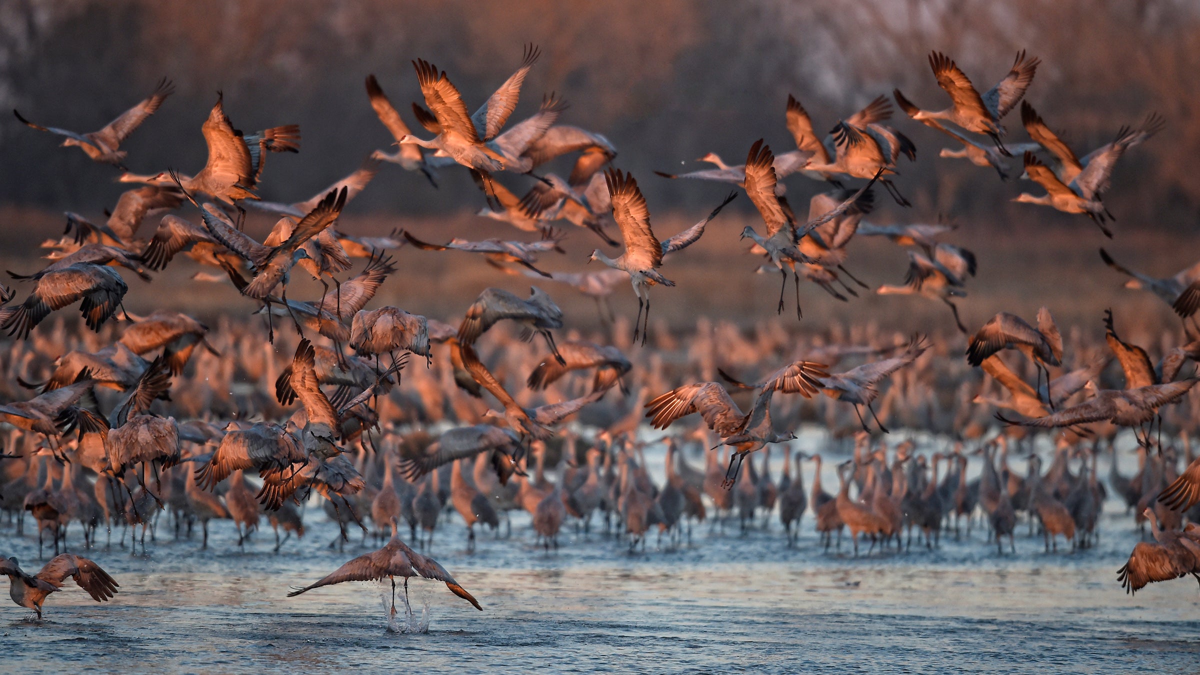 Nebraska's Platte River is an important natural area for migratory birds, but officials also want the park to appeal to easily bored children.