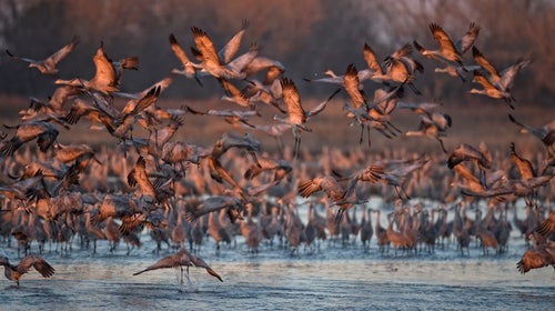 Nebraska's Platte River is an important natural area for migratory birds, but officials also want the park to appeal to easily bored children.