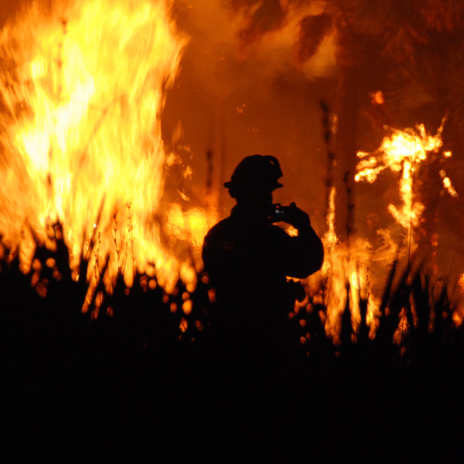 As many as 56,000 wildland firefighters will be on duty this summer.