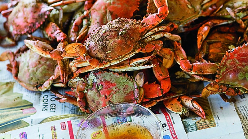 Chesapeake Bay crabs in Cape Charles.