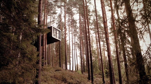 A horizontal bridge in the forest allows access to this gravity-defying treeroom. Capable of housing two people, The Cabin features a bright and cheerful interior and a rooftop terrace, both of which enjoy sweeping forest views.