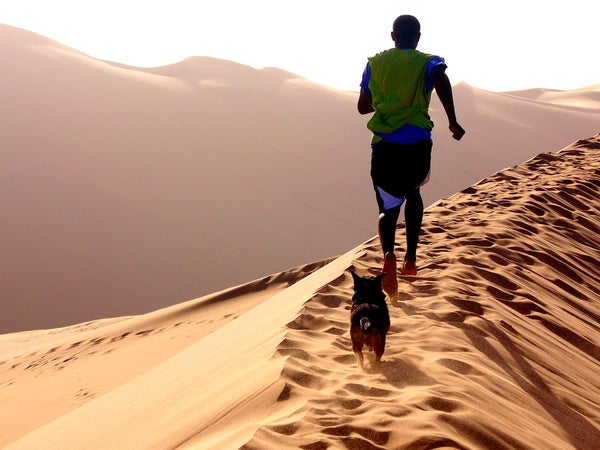 Do repeats on a hill of an unmeasured distance and stop obsessing about splits for a while.