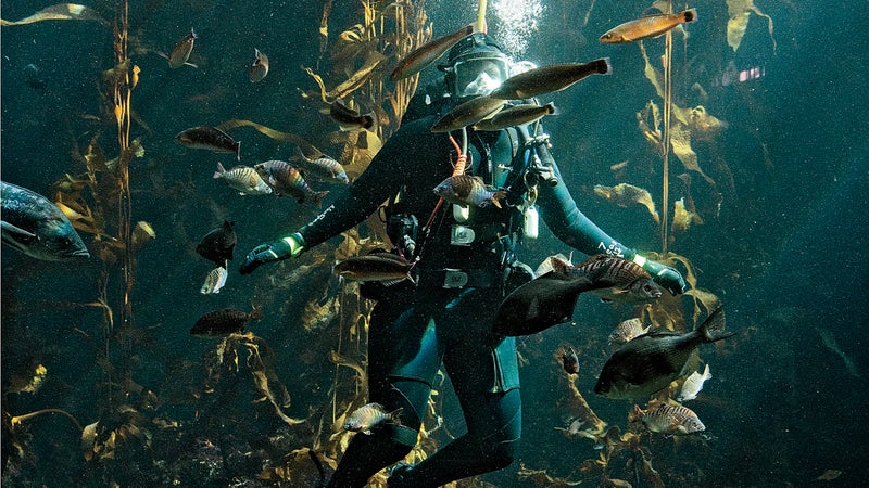 Monterey Bay Aquarium's Jennifer Dianto Kemmerly.