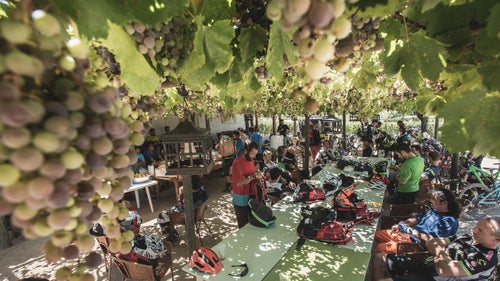 Day three saw record temperatures (well over 100 degrees), in Chile’s premier wine-growing region in the Colchagua Valley. Luckily, shade and refreshment could be found at the Lapostolle Vineyard located alongside the course.