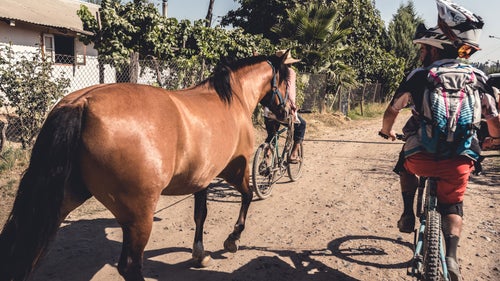 With over 4,000 feet of climbing and record-breaking heat, day three turned out to be the most difficult stage, leaving many racers wishing for a little more horsepower.