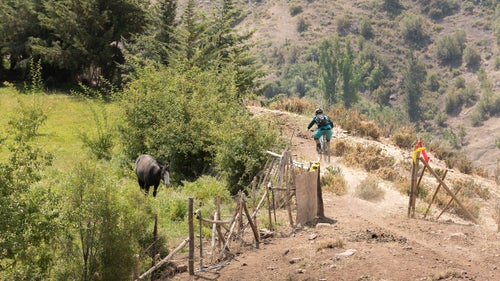 On day two, riders made their way down to the lower slopes of the Andes, and for the first time began to see signs of life: trees, green grass, and the occasional livestock.