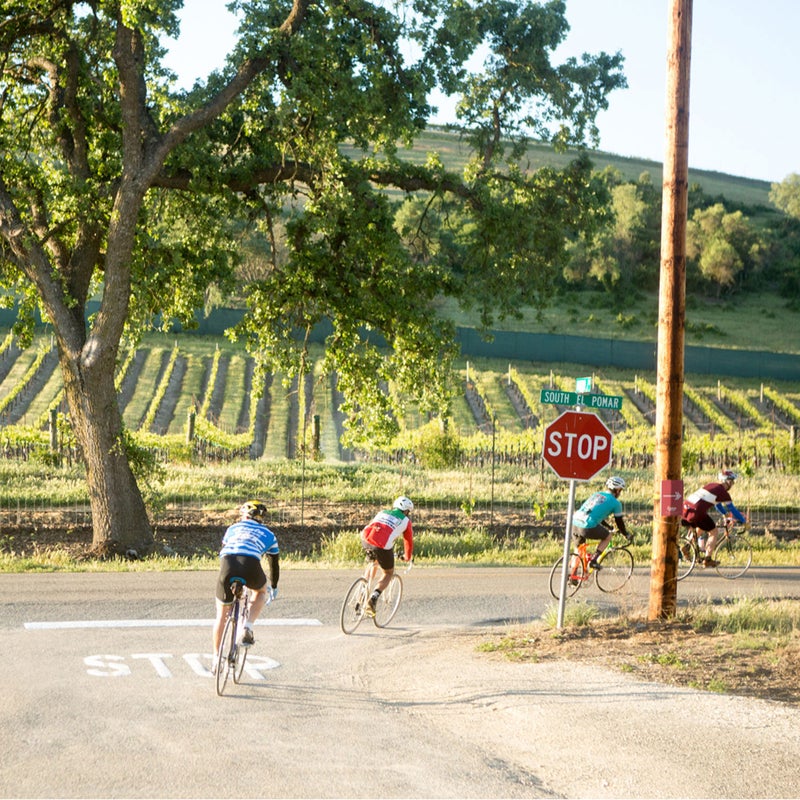 The conditions were perfect as we pushed off Sunday morning (only the Californians thought it was particularly chilly). With 130 miles and some 9,000 feet of climbing, much of it on gravel, sensible pacing was key. This included not lingering too long over the wine, olive oil, and other refreshments lavishly arrayed at the rest stations.