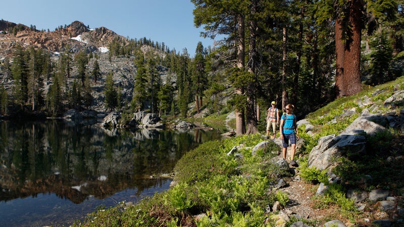 Iron Lake Trail in Ansel Adams Wilderness.