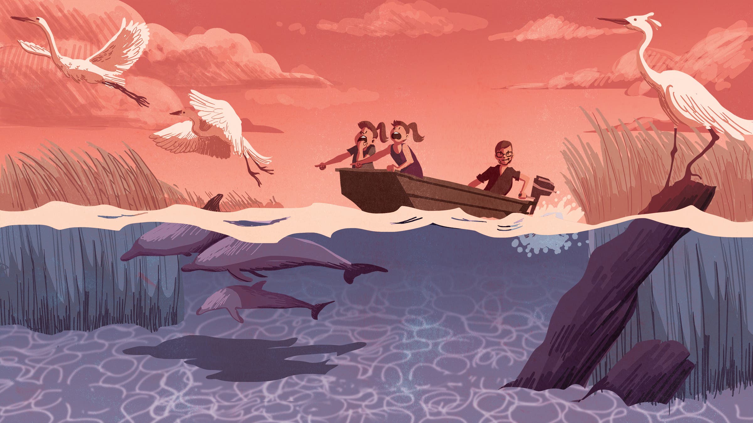 Illustration by Erin Wilson