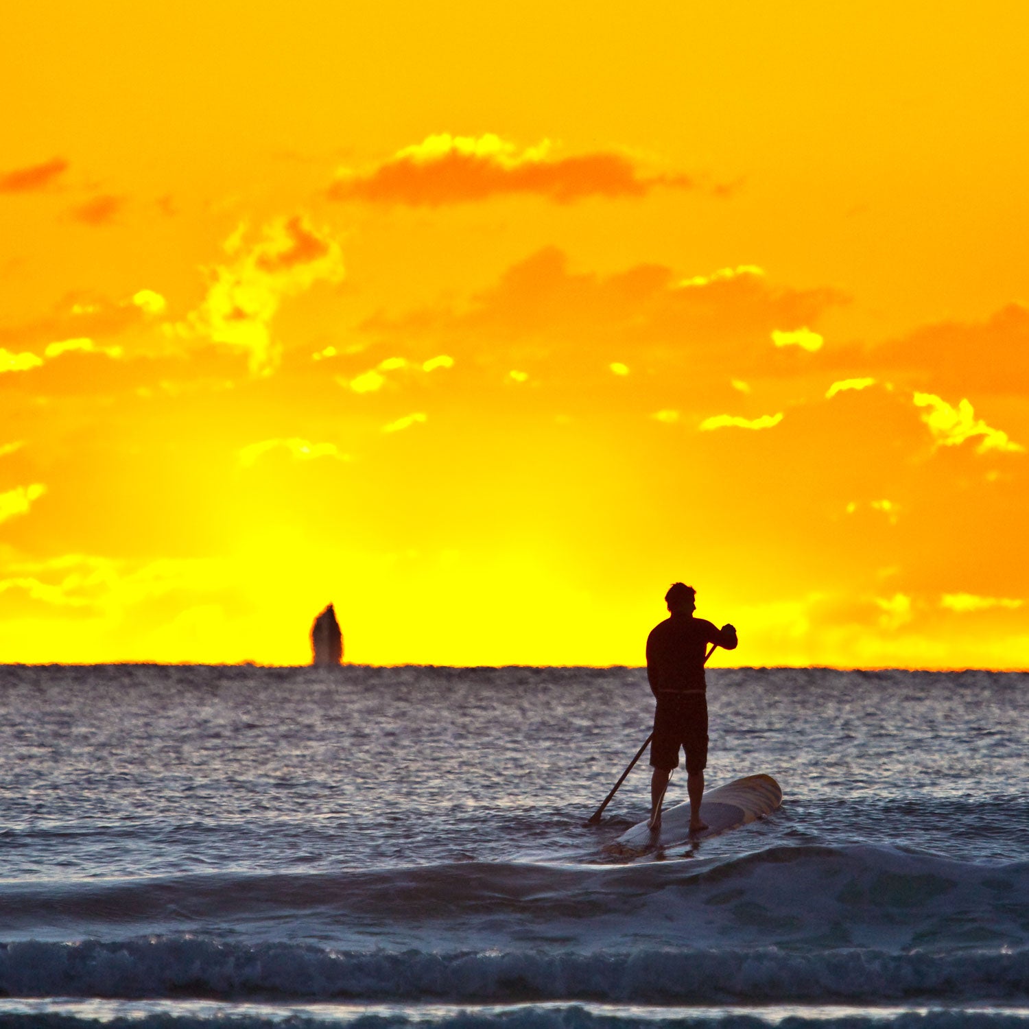 Stand-up paddleboarding is really just a matter of balance and form. If you can master those basics, you'll be golden.