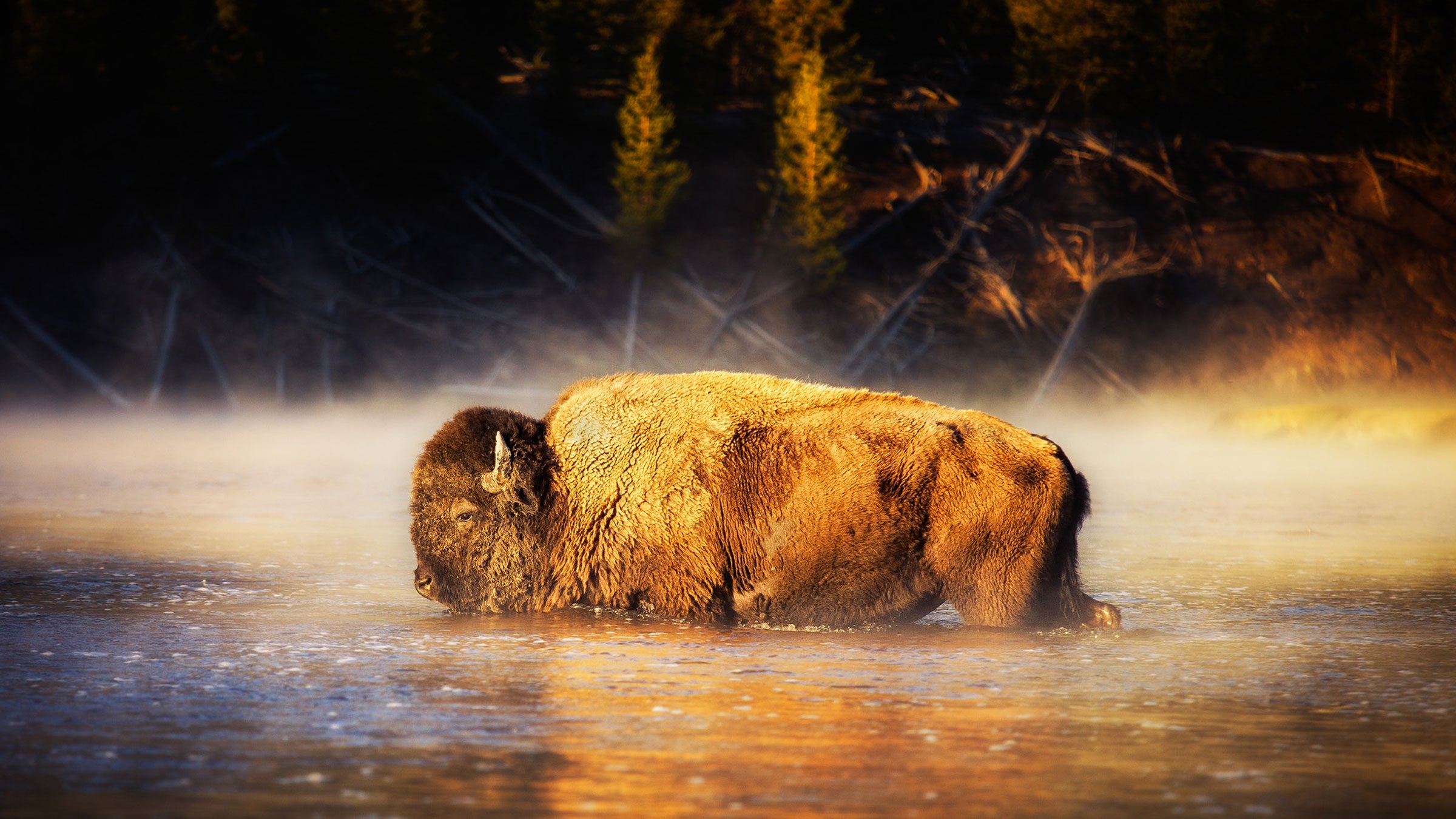 Some have interpreted the law as preventing Yellowstone visitors from taking beautiful photographs. A deeper reading reveals some more frightening potential consequences.