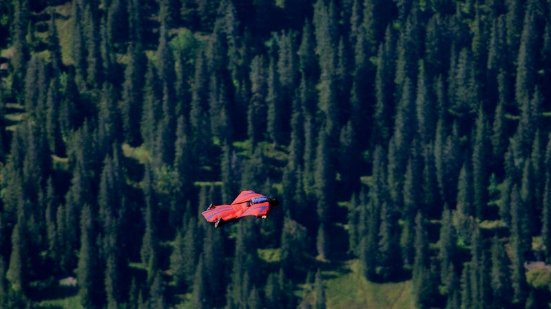 Potter in flight.