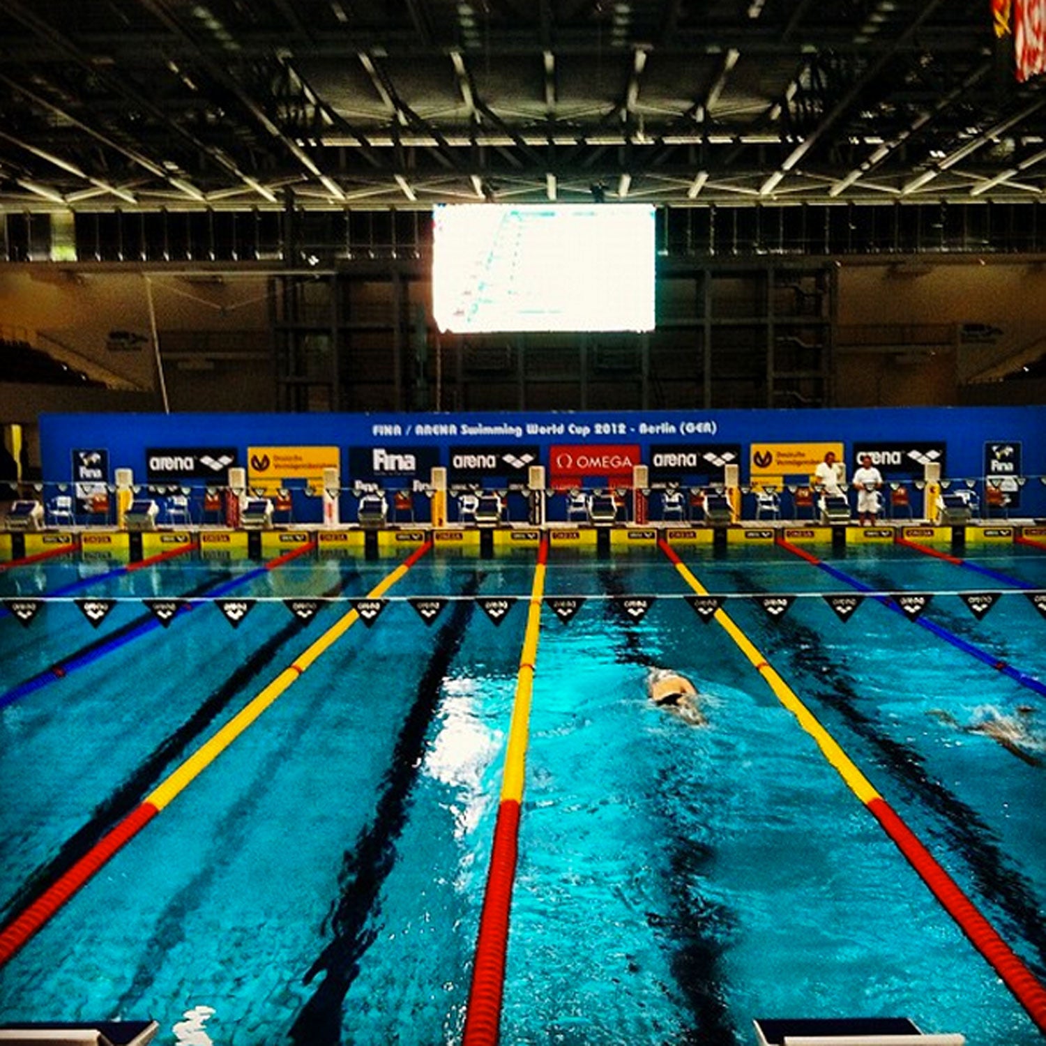 Shields swims in a 2012 meet in Berlin. Shields currently holds the U.S. short-course records in the 50-meter butterfly, 100-meter butterfly, and 200-meter butterfly.