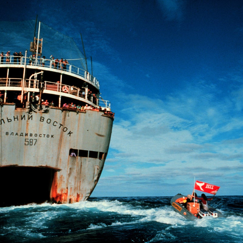 Using never-before-seen footage from Greenpeace’s first activists, documentarian Jerry Rothwell has crafted a high-seas environmental adventure that also pays due attention to the frustrating realities of social activism. It all starts with the ragtag group of Canadians facing down an atomic testing site in Alaska. The ensuing portrait of a small organization fighting environmental crime—and each other—is an unprecedented look at the idealistic, eccentric, overwhelmed founders who launched Greenpeace into the public eye.

Watch the trailer.