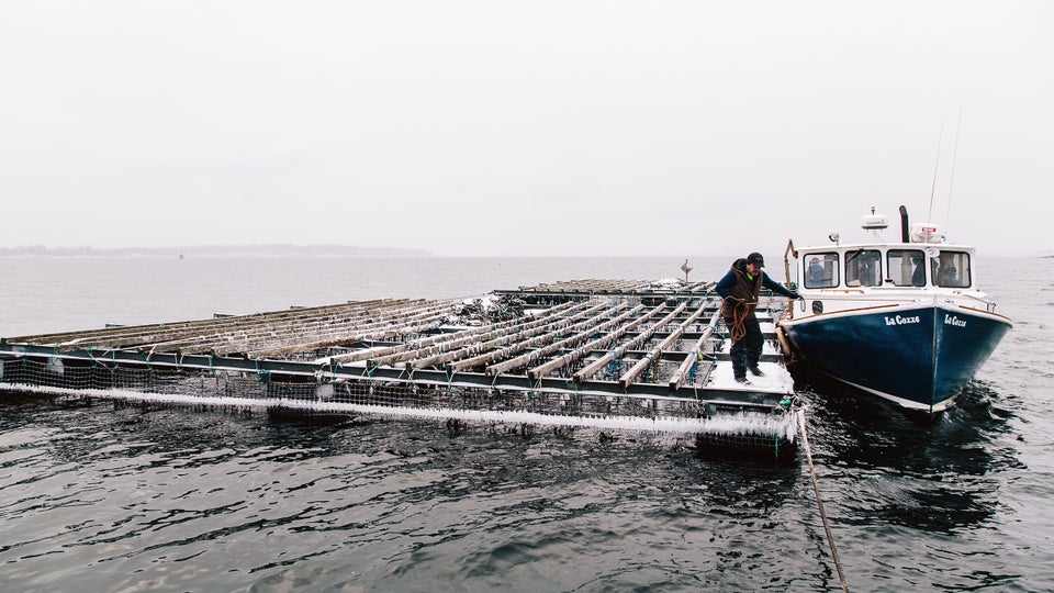 The Geniuses on the Front Lines of Sustainable Seafood Outside Online