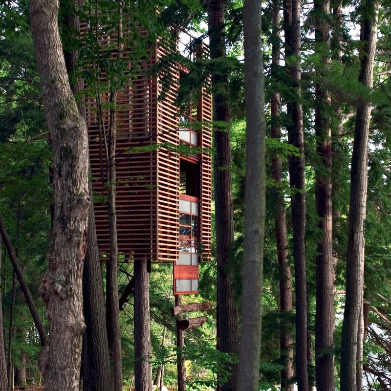 This aptly-named tree house was constructed to wrap around four trees. Each of its three independent floor levels has a different spatial configuration and a view of a deer reserve.