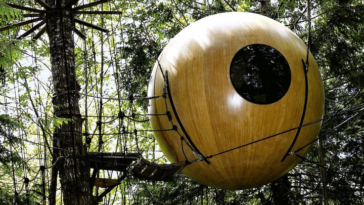 Backyard Dreaming: Inspiration for the Perfect Tree House