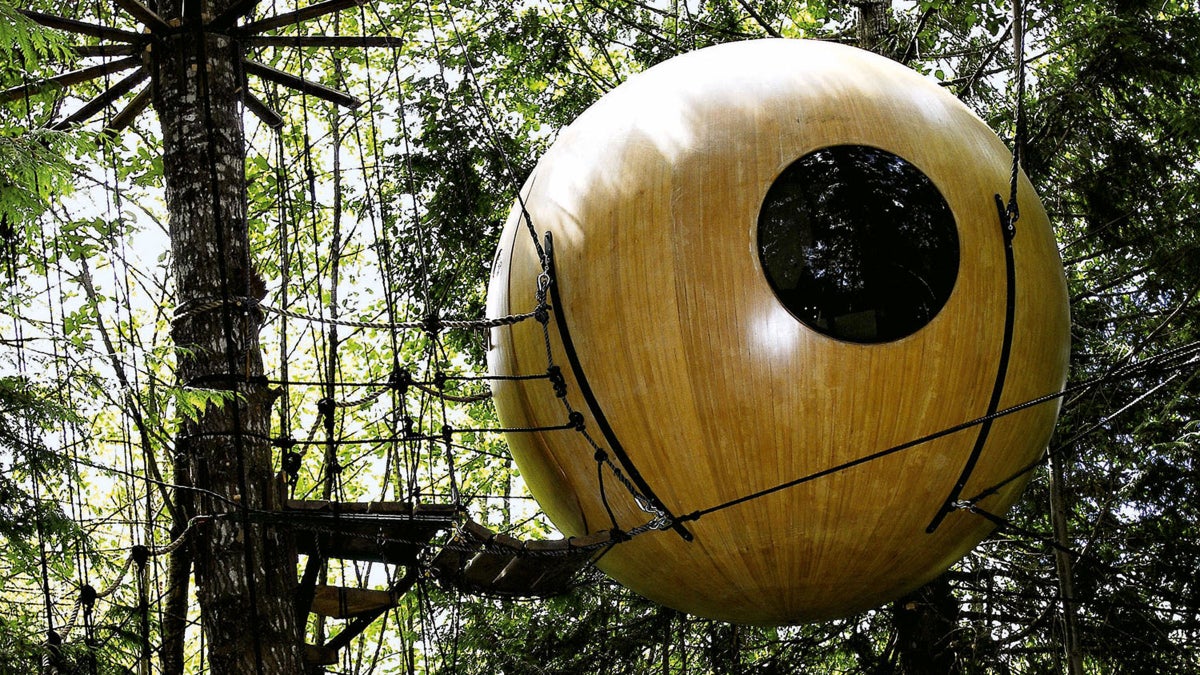 Backyard Dreaming: Inspiration for the Perfect Tree House