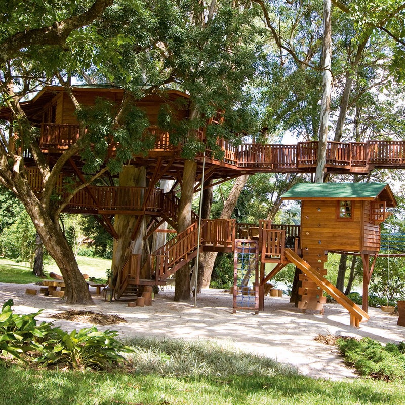 This structure is built around a number of host trees in the midst of a large grove of eucalyptus, and blends in with the forest color scheme. The accommodations feature a degree of luxury which can make people inside forget that it鈥檚 a tree house鈥攖hat is, until they recall the giant eucalyptus trunk in the middle of the living space.