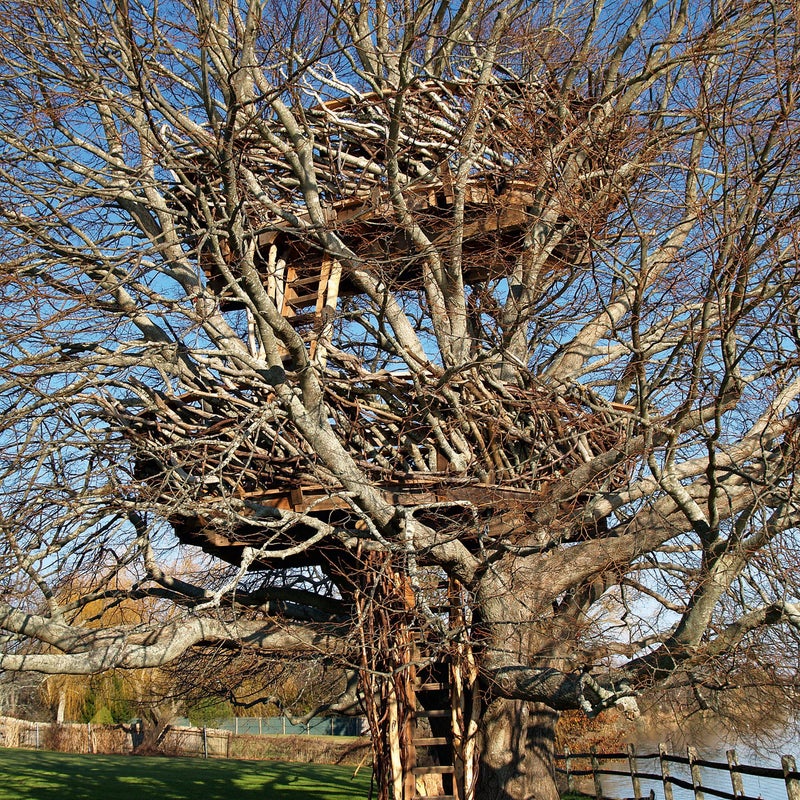 Two independent structures are located at 6 meters and 10.7 meters off the ground. Constructed of driftwood collected along Long Island and salvaged lumber, this treehouse is more of a platform suspended in the branches than an enclosed space, allowing people inside to feel complete connection with nature.