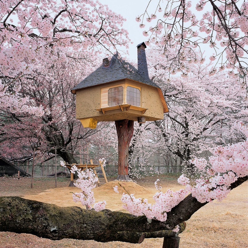 During storms or earthquakes, the structure is designed to sway along with its support, the trunk of a single Cypress tree. The site is famous for cherry blossoms, and it鈥檚 easy to see why. 鈥淚 did not intend it this way, but it looks as if it were a house for a midget from a fairy tale,鈥 says architect Terunobu Fujimori.