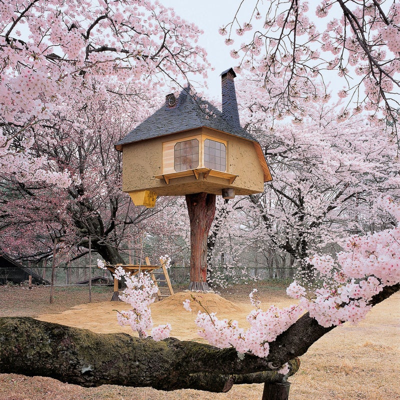 During storms or earthquakes, the structure is designed to sway along with its support, the trunk of a single Cypress tree. The site is famous for cherry blossoms, and it’s easy to see why. “I did not intend it this way, but it looks as if it were a house for a midget from a fairy tale,” says architect Terunobu Fujimori.