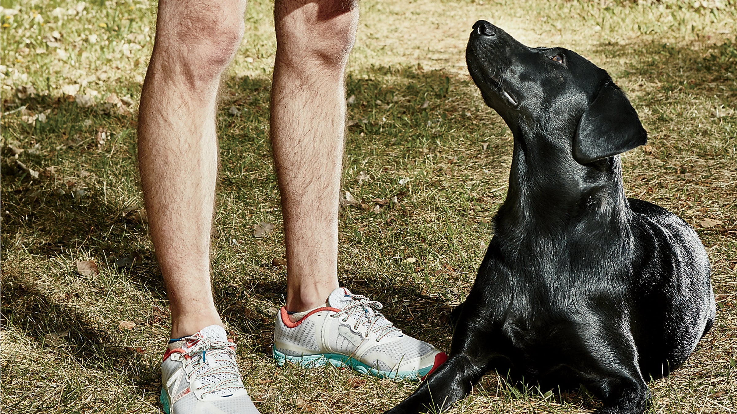 Some dogs need more than a walk.