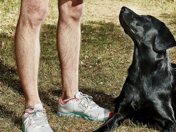 Some dogs need more than a walk.