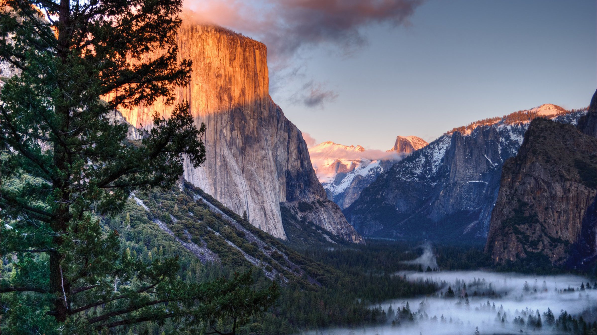 A climber fell 200 feet and died while descending the Nose of El Cap.