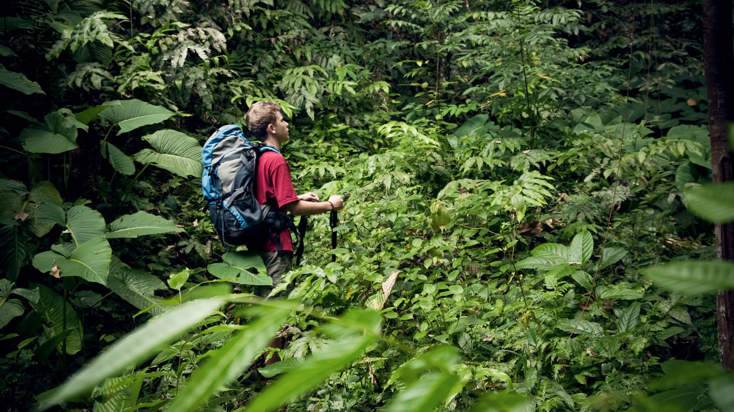 In the case of a missing person, every minute counts. With SafeSide, the realization something may have gone wrong starts sooner than was previously possible.