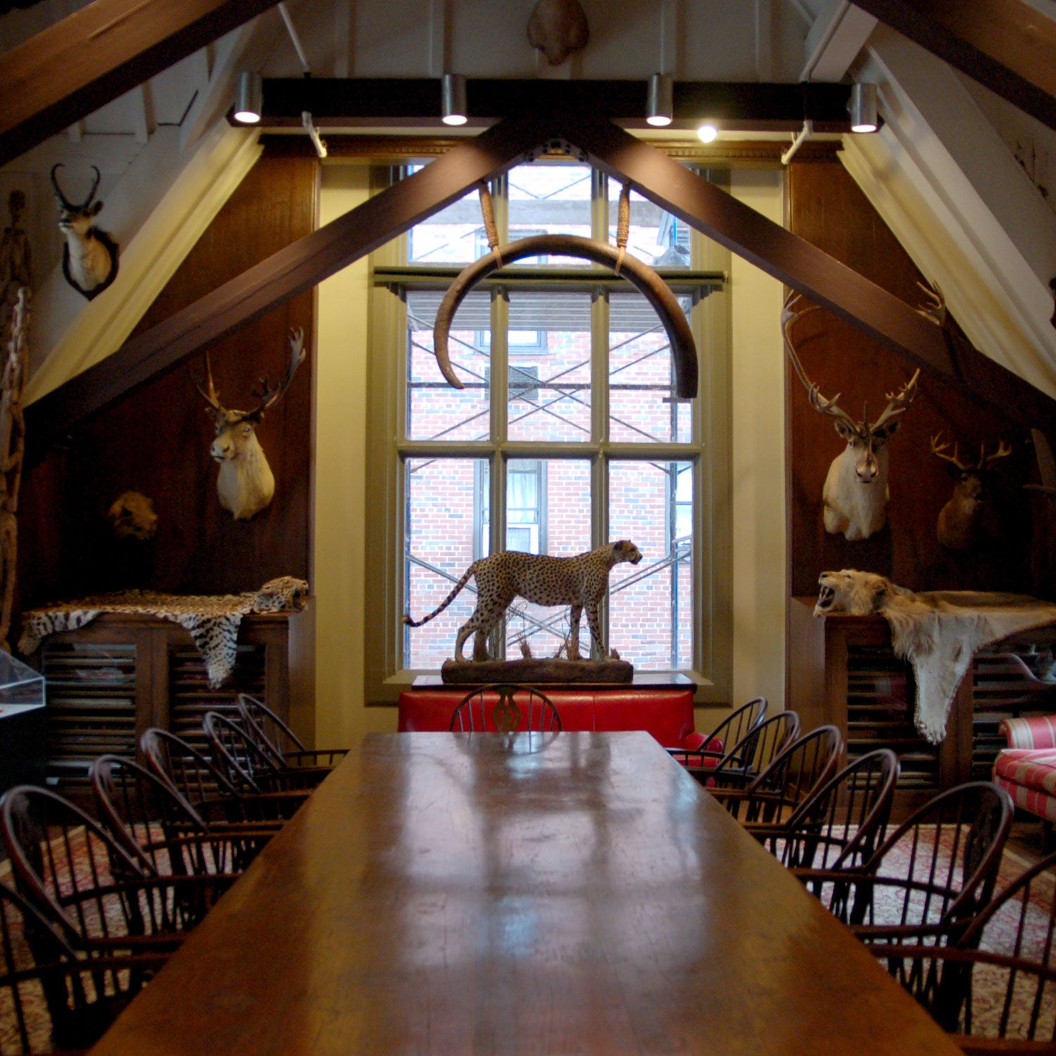 If you were unable to attend the organization's annual dinner, this view of The Explorer's Club's Trophy Room in New York can give you an idea of what the group is all about.