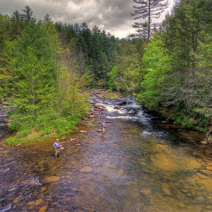 Whether you're looking to get way out there or you want a destination that's fun for the whole family, these sweet fly-fishing spots have you covered.