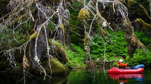 Ninety percent of the Unuk’s rich salmon habitat is in Alaska. Meanwhile, upstream on the B.C. side, the largest open-pit copper and gold mine in North America, Kerr Sulphurets Mitchell (KSM), has been approved by the Canadian government. The developer Seabridge Gold is currently seeking a major investor to finance operations.