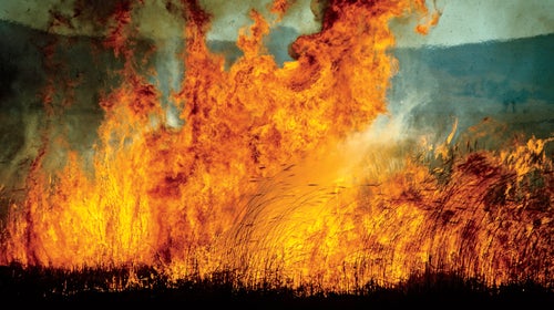 In 2014, 2.4 million acres burned in prescribed fires.