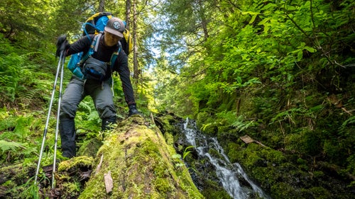  •    Forested ridge. Tiring. Sloggy. Pain. Bugs. Deadfall. Hot. Bugs. Snow patches. Bugs.    •    Managed all day 2 miles.    •    This valley doesn’t cater to boating, or walking, or anything at all really. It doesn’t cater to human existence.