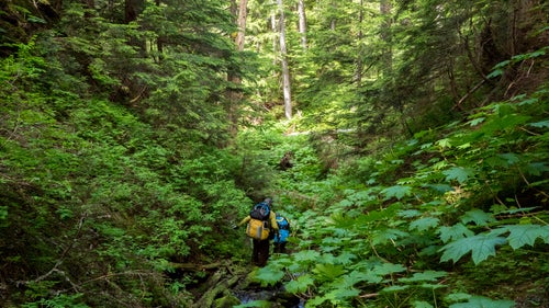     •    Early start. Morning moon. Bird sounds.    •    Hope bowels hold after filtering water from mosquito bog with sheen on it.    •    Final slot canyon an easy get-down to river. A gift. A valley so green and beautiful it “obliterates memory.” (Wade Davis quote about Amazon.)