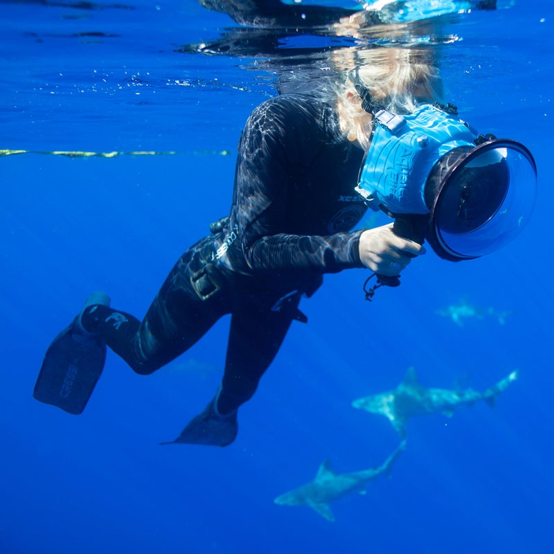 One Ocean Diving has cataloged dozens of sharks. Once they have photos of both the left and right side of an individual that show a few identifiable markings, they give the shark a name. “Riley,” “Pizza,” “Bully,” and “The General” are just a few of their finned buddies. To shoot photos in the water, they use Canon cameras, Aquatech housings, and GoPros.