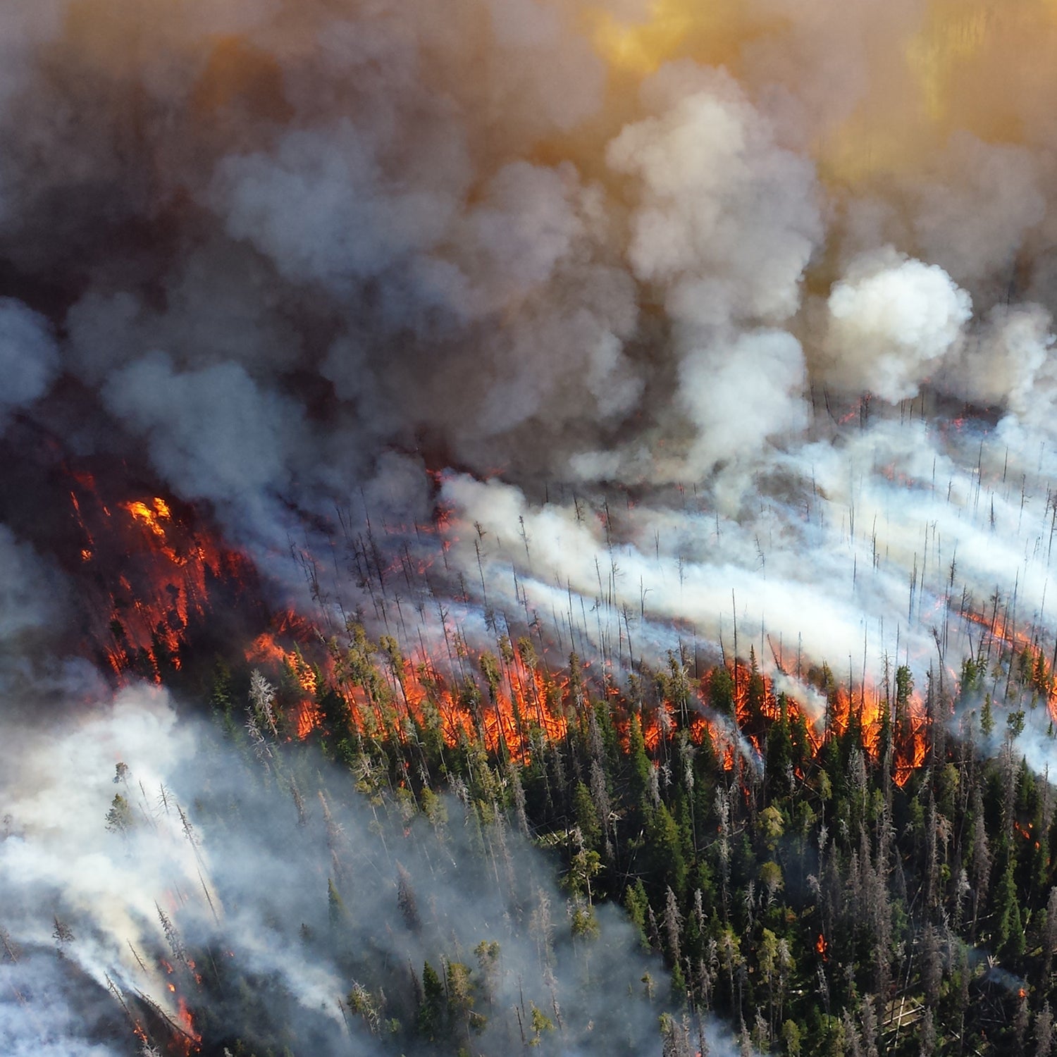 Fire seasons in the West can last over two months longer than they did three decades ago.