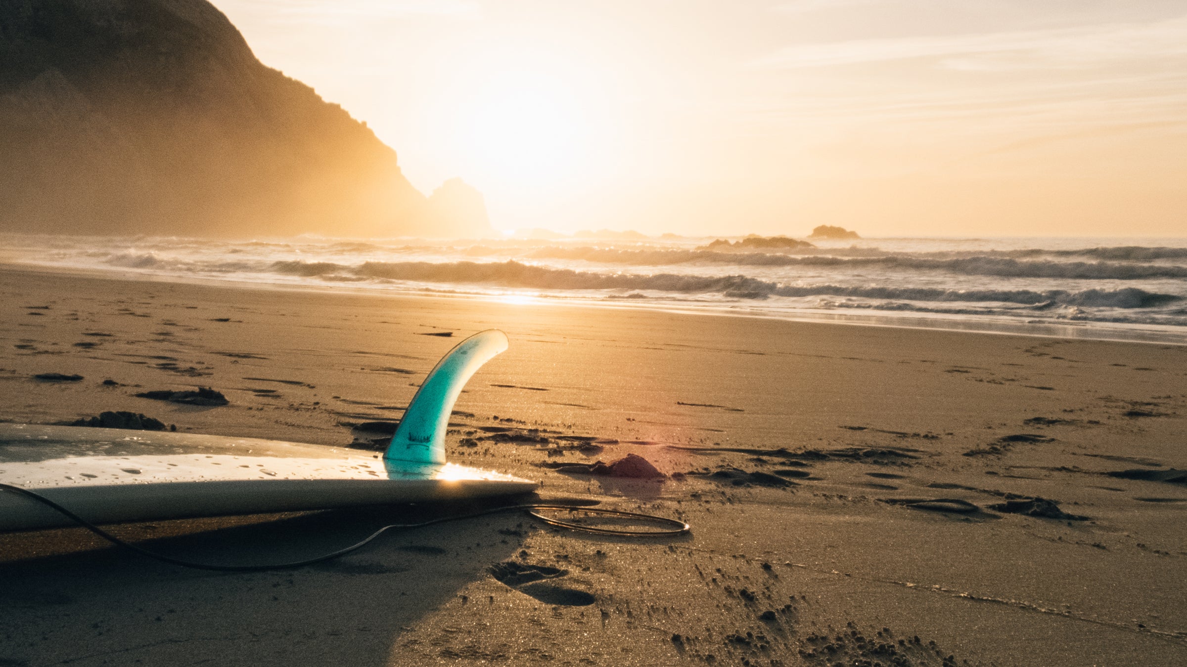 SurfO has so far sold two fungus-based boards, for $1,700 each.